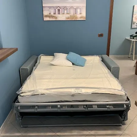 Roxy House 特拉尼